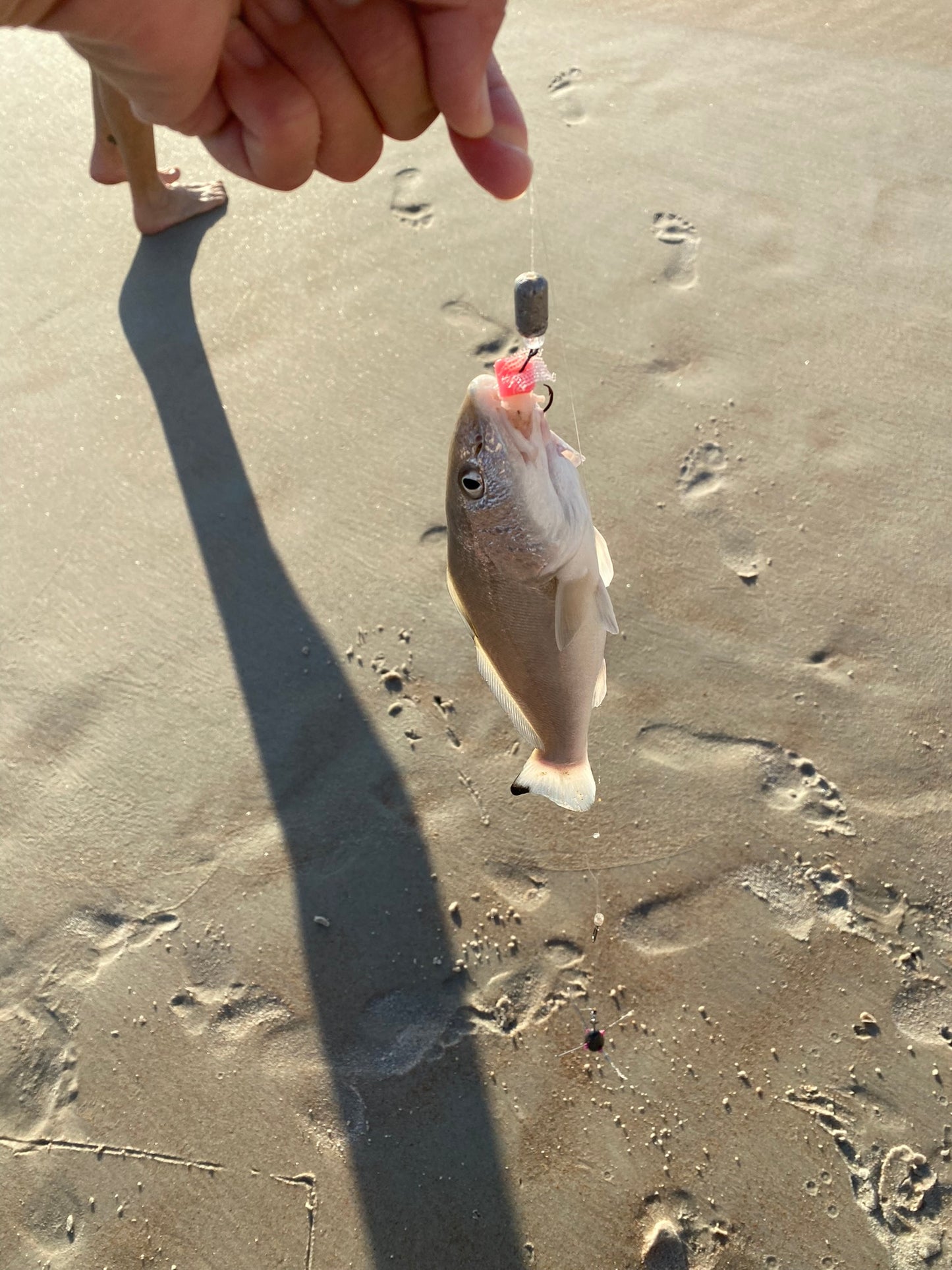Fishin' Girl Pompano Rigs SAMPLE PACK!