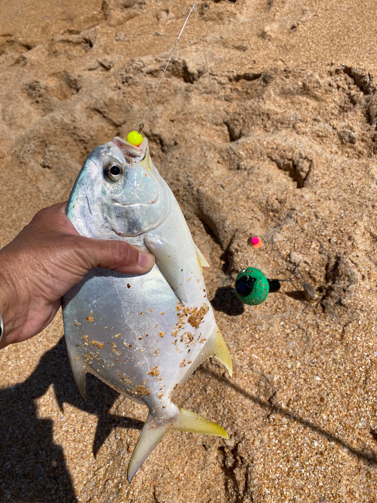 Fishin' Girl Exclusive Float Rigs SAMPLE PACK!